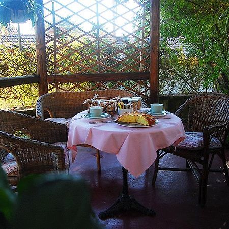 Le Camelie Bed & Breakfast Brissago-Valtravaglia Eksteriør bilde